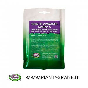 Semi Canapa Certificati piantagrane