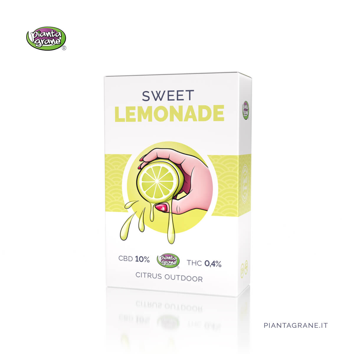 Sweet Lemonade | Infiorescenze CBD