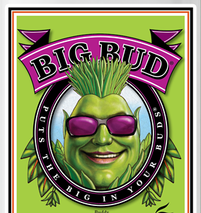 Kit Fioritura Maxi 500 ml — Big Bud + Bud Candy + Overdrive + B-52 | Advanced Nutrients