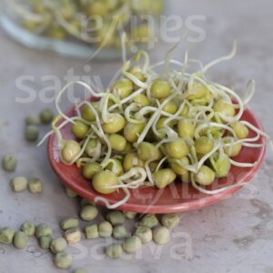 Semi per Germogli di Piselli Bio – 50 g | Sativa