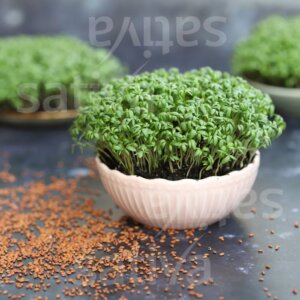 Semi per Germogli di Crescione Bio – 50 g | Sativa