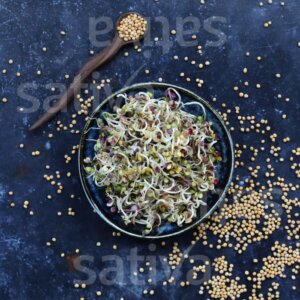 Semi per Germogli di Senape Gialla Bio – 50 g | Sativa