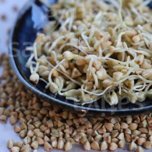 Semi per Germogli di Grano Saraceno Bio – 50 g | Sativa