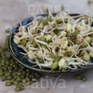Semi per Germogli di Fagiolo Mungo Verde Bio – 50 g | Sativa