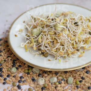 Power Sprouts Mix – Semi per Germogli Bio 25 g | Sativa